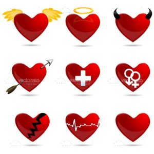 Different shapes of heart
